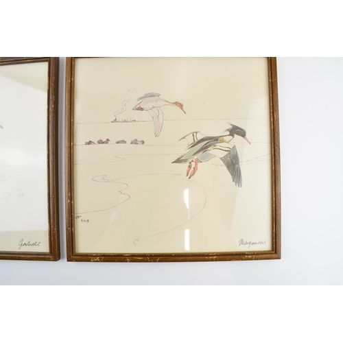 223 - Pair of early 20th century prints of Mergansers ducks and a Gadwell duck. 31cm x 31cm including fram... 