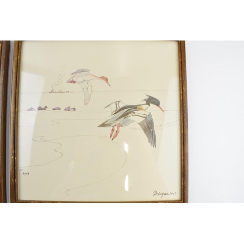 223 - Pair of early 20th century prints of Mergansers ducks and a Gadwell duck. 31cm x 31cm including fram... 