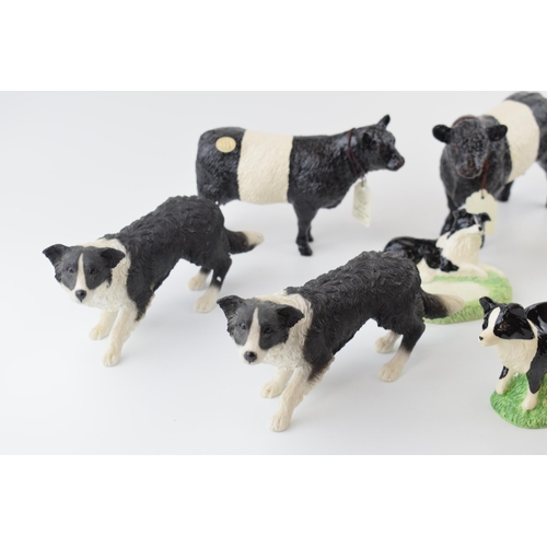 29 - Pottery to include modern Border Fine Arts Belted Galloway bull and cow, with similar border collie ... 