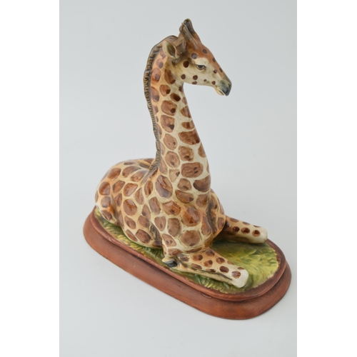 292 - Sitzendorf Giraffe in seated pose. Height 24cm.