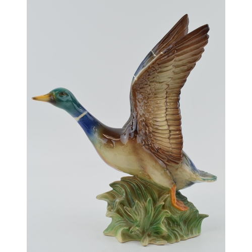 118 - Jema of Holland model of a mallard in flight, 28cm tall.