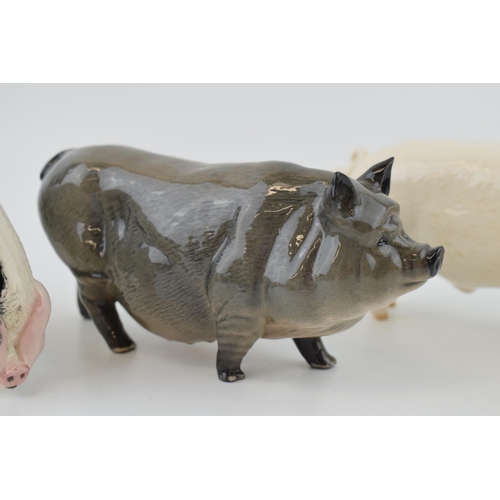 130 - A trio of Royal Doulton pigs to include the Vietnamese Pot Bellied pig, a White Boar and a Glouceste... 