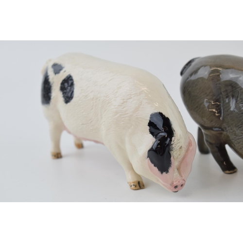 130 - A trio of Royal Doulton pigs to include the Vietnamese Pot Bellied pig, a White Boar and a Glouceste... 