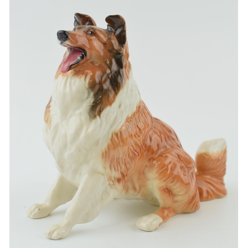 141 - Beswick gloss colourway seated rough haired collie 3080.