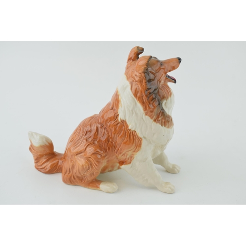 141 - Beswick gloss colourway seated rough haired collie 3080.