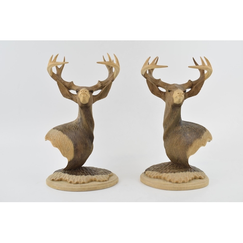 365 - A pair of contemporary highly detailed carved softwood busts in the form of highland stags, freestan... 