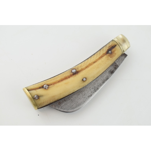 512 - Saynor bone handled antique flatcap penknife, 10.5cm long, 17.5cm when unfolded.