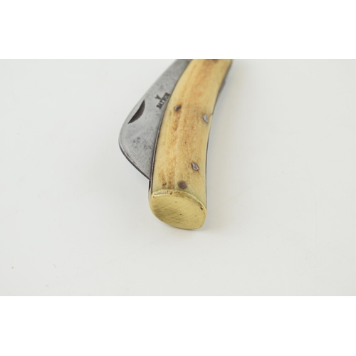 512 - Saynor bone handled antique flatcap penknife, 10.5cm long, 17.5cm when unfolded.