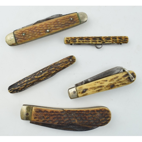 526 - A collection of horn handled pocket knives to include single and double blade examples by Sheffield ... 