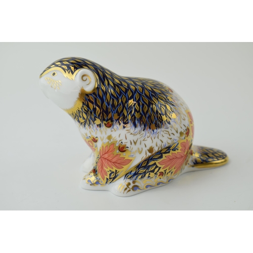 76 - Royal Crown Derby paperweight, Riverbank Beaver, number 2,570 of a limited edition of 5,000, 21st an... 