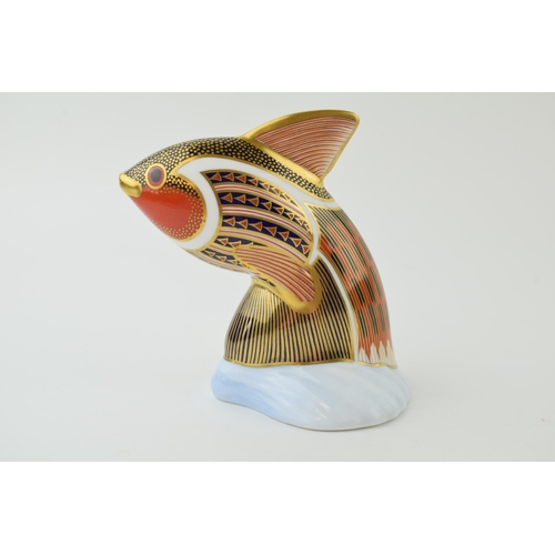 106 - Royal Crown Derby paperweight from the Tropical Fish Series, Tropical Fish Guppy, 12cm high, gold st... 