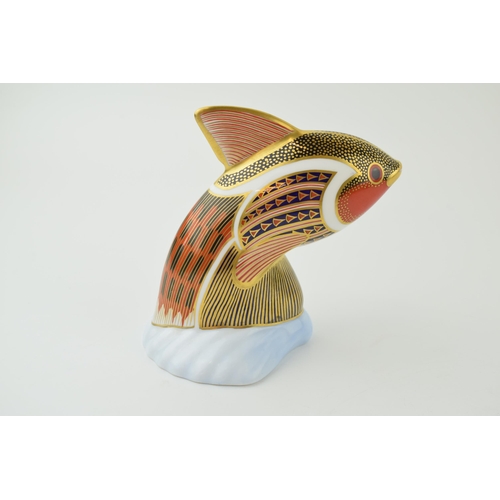 106 - Royal Crown Derby paperweight from the Tropical Fish Series, Tropical Fish Guppy, 12cm high, gold st... 