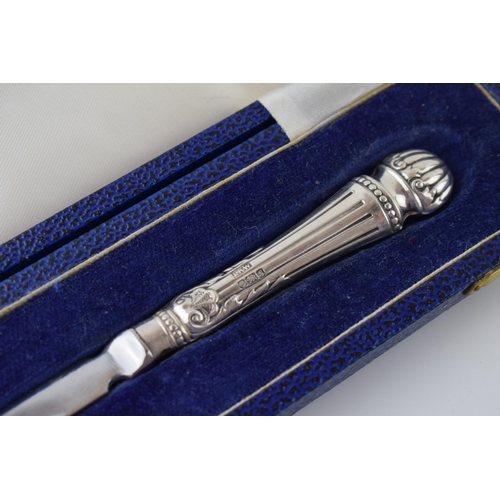 662 - Cased silver handled letter opener in fitted box, Sheffield 1981, 20cm long.