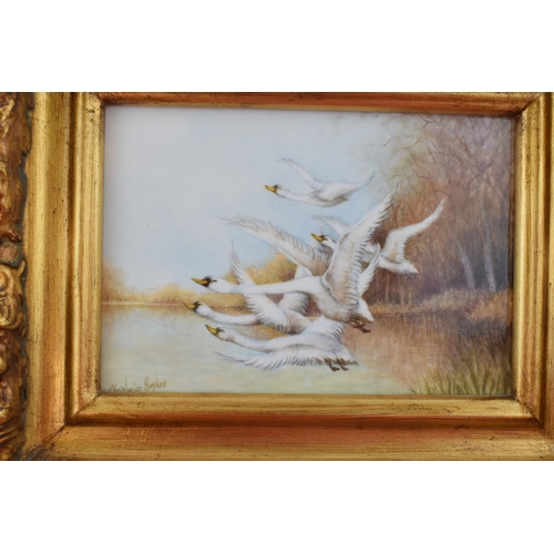 161 - Christopher Hughes (former Royal Worcester artist) hand painted rectangular plaque of 'Flying Swans ... 
