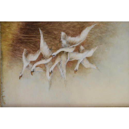 162 - Christopher Hughes (former Royal Worcester artist) hand painted rectangular plaque of Flying Swans ,... 