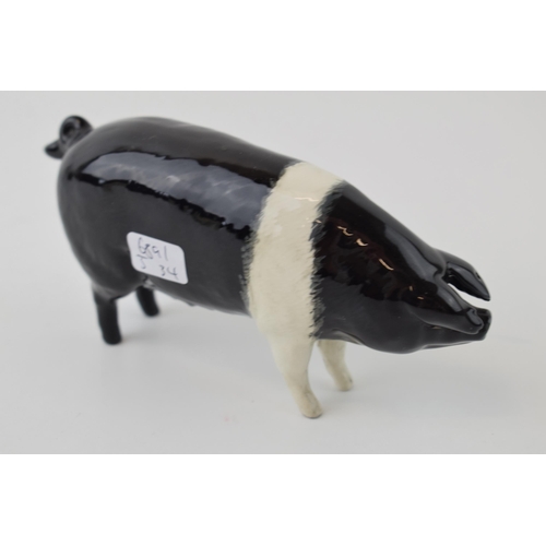 23 - Beswick Saddleback Boar 1512 (nip to ear).