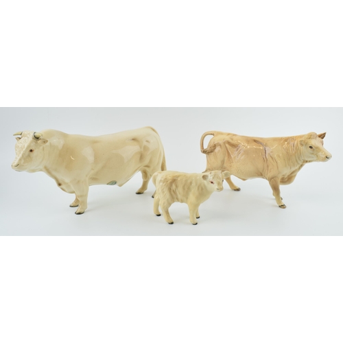 48 - Beswick Charolais cattle to include the cow, bull (chip to horn) and calf (3).
