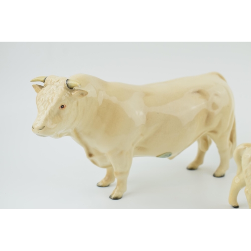 48 - Beswick Charolais cattle to include the cow, bull (chip to horn) and calf (3).