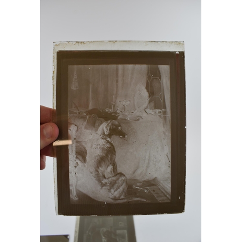 387 - A collection of glass lantern slides to include 'All Good Comes From Above' by F Volck, family photo... 