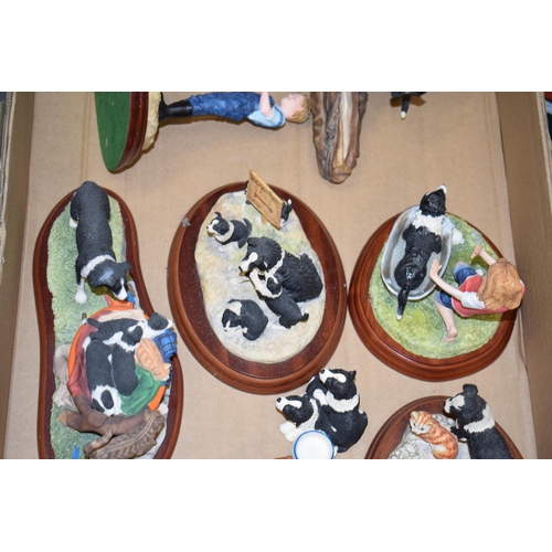 56 - Border Fine Art Border Collie figures to include Hen Pecked, Not My Size, Mixed Blessings and others... 
