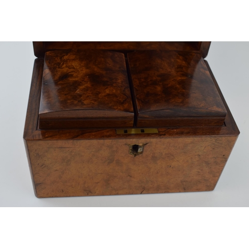 443 - 19th century burr walnut tea candy with two lidded compartments, with remnants of original foil, 25x... 