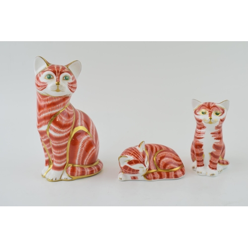 148 - Three Royal Crown Derby Cat paperweights, Ginger Tomcat, 13cm high, gold stopper and red Royal Crown... 