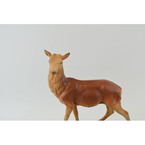 151 - Beswick to include a Connoisseur Stag (missing antlers) a bear 1314 (nip to 1 ear), Black Beauty's f... 