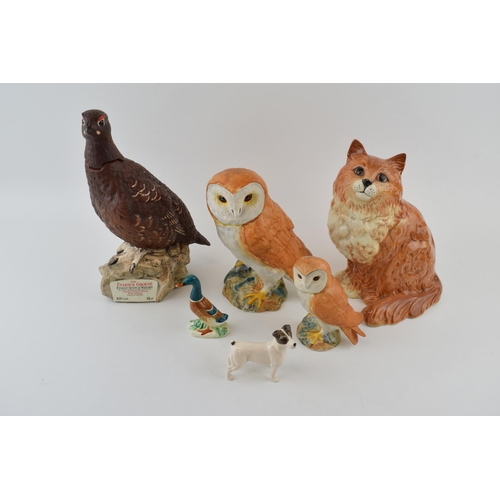 157 - Beswick to include a large Barn Owl, a ginger sitting Persian cat 1867, a Doulton Famous Grouse deca... 