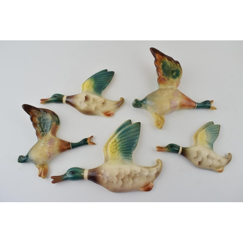 73 - A collection of five pottery graduated wall plaques in the form of mallard ducks, largest 19cm long ... 