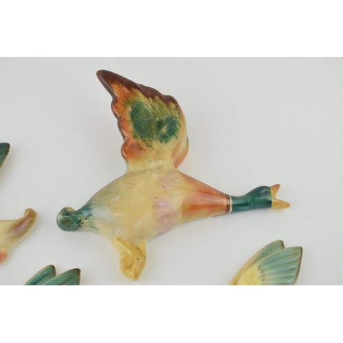 73 - A collection of five pottery graduated wall plaques in the form of mallard ducks, largest 19cm long ... 