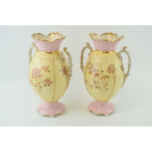 134 - A pair of early 20th century two handled vases, F Winkle and & Co of Staffordshire, with floral desi... 