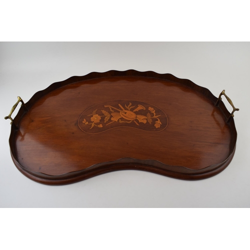 617 - Edwardian inlaid kidney tray with brass handles, shaped edge, 59cm long.