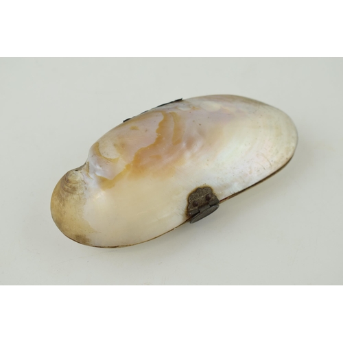 622 - Novelty purse made of two shells, 10.5cm long.