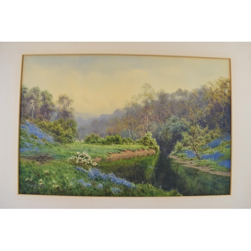 112 - Donald A Paton (Edward Horace Thompson, Scottish, 1879-1949): a watercolour, a woodland scene with w... 