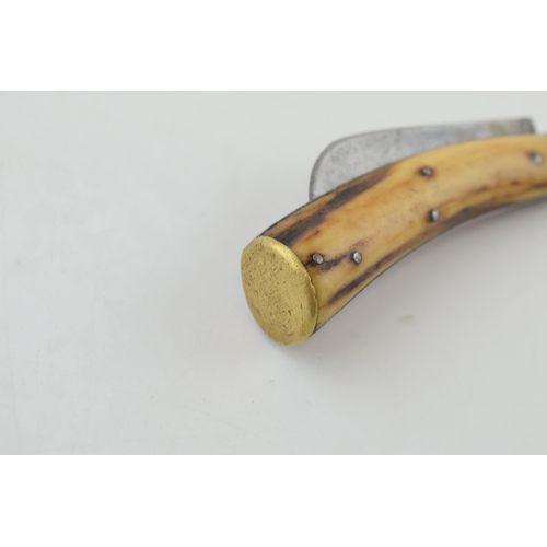 12 - c19th Victorian Bone Handle Flat Cap Pruner Folding Pocket Knife Lockwood Brothers Sheffield c1890