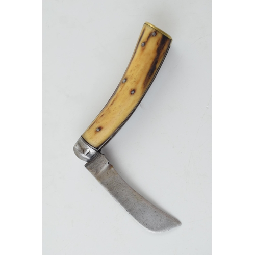 12 - c19th Victorian Bone Handle Flat Cap Pruner Folding Pocket Knife Lockwood Brothers Sheffield c1890