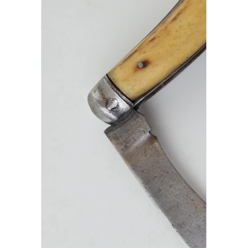 12 - c19th Victorian Bone Handle Flat Cap Pruner Folding Pocket Knife Lockwood Brothers Sheffield c1890