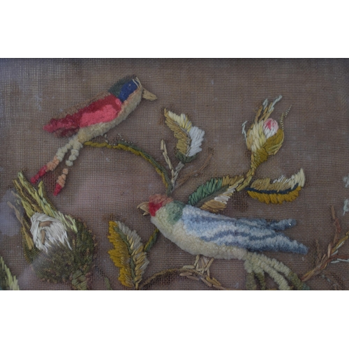 122 - Wool-work embroidery, early 19th century folk art style study of two birds. 20cm x 21cm.