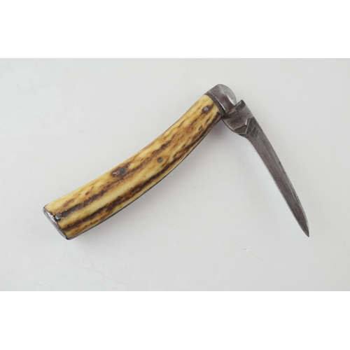 2 - Saynor Cooke & Ridal Sheffield Flat Cap Bone Handle Pocket Knife Pruner of Small Size c1890