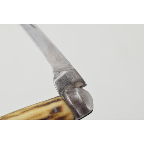 2 - Saynor Cooke & Ridal Sheffield Flat Cap Bone Handle Pocket Knife Pruner of Small Size c1890