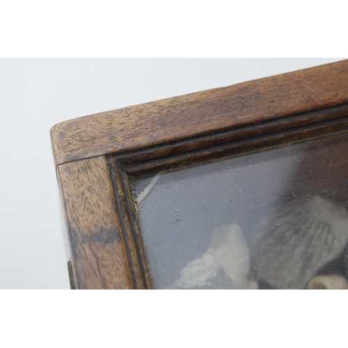 22 - Early 20th century mahogany sloped display cabinet, with original glass, containing a varied collect... 