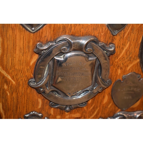 27 - The Northern Anglers Association 'North Staffordshire Central Challenge Shield 1908. Golden oak shie... 