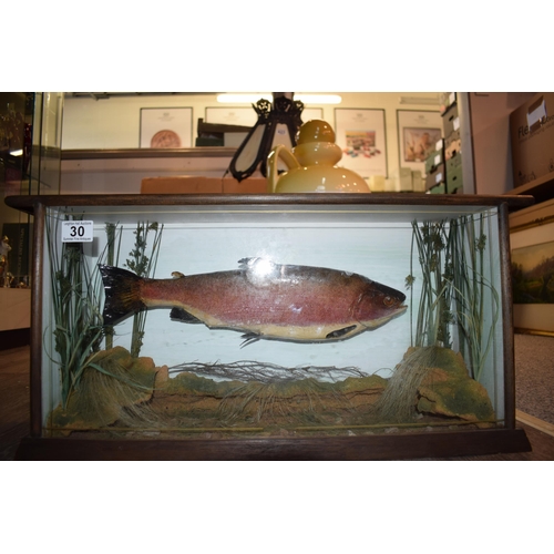 30 - Cased vintage taxidermy / casting of a trout, in wooden glazed case, in naturalistic setting, case 6... 