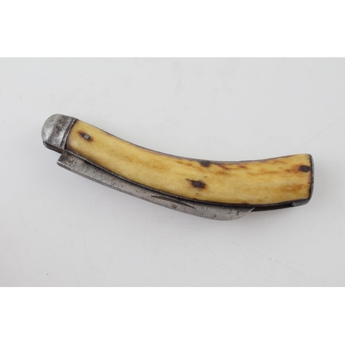 4 - Sheffield Bone Handle Flat Cap Folding Pocket Knife Pruner c1890