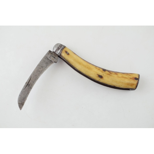 4 - Sheffield Bone Handle Flat Cap Folding Pocket Knife Pruner c1890