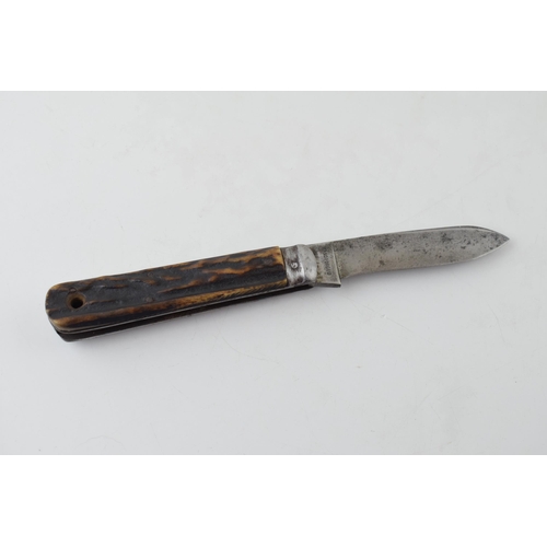 5 - Johnson Western Works Sheffield Bone Handle Pocket Knife Pruner c1910