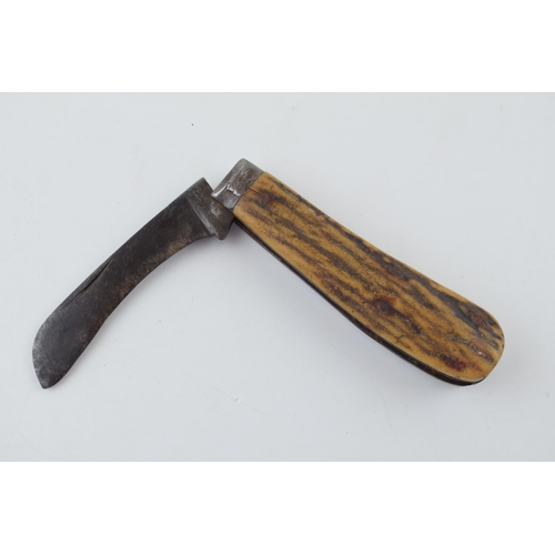 7 - Sheffield Bone Handle Folding Pocket Knife Pruner c1900