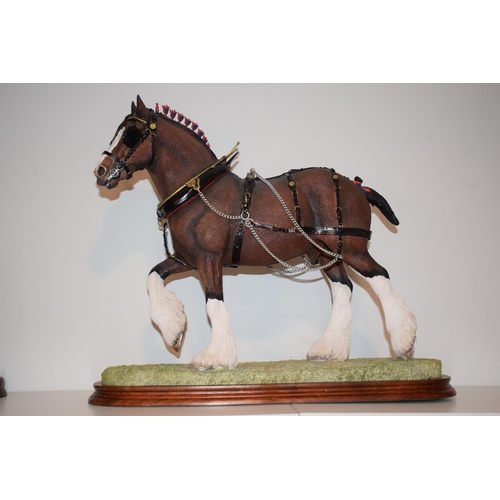 172 - Border Fine Arts 'The Champion Shire', model No. 0888A by Anne Wall, limited edition 111/500, on woo... 