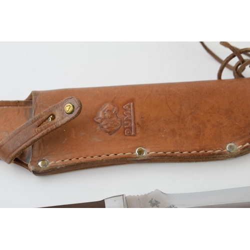 38 - A 'Puma' 6377 'White Hunter' Genuine Pumaster Steel, Made in Germany, in Puma tan leather sheath. Le... 