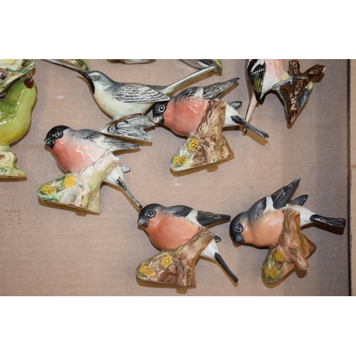 13 - A collection of Beswick birds to include a blue tit, bullfinches, a greenfinch and others (11).